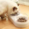 Bols pour chats mangeoires pour animaux de compagnie mangeoire automatique nourriture pour chien avec fontaine d'eau Double pour