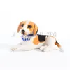 Bling Diamond Dog Collar Regulowany Rhinestone Wisiorek Naszyjnik Collar Moda Gemstone Cat Obroże Akcesoria