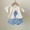 Sommarbarn Kortärmad + Shorts Frukttryck T-shirt Bomull Plaid Suit Baby Set Cloth Mode Kläder 210702