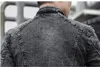 슬림 피트 블루 진 재킷 오토바이 자켓 남자 코트 긴 소매 봄 가을 탑스 오버 코트 겉옷 2021 m-4xl 블랙