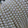 10-11mm White Natural Pearl Beaded Necklace 36cm Bridal Jewelry Gift Choker grossist av halvfärdig produkter