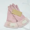 New Brand Design Faux Fur Style Gloves for Women Winter Outdoor Warm Five Fingers Artificial Leather Glove Wholesale WLL1189