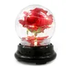 Fleur artificielle Rose verre abat-jour lumière petit Prince nouveau étrange cadeau créatif noël cadeaux transfrontaliers 4961