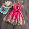 Lato Różowa Dziewczyna Sukienka Cute Dziecko Dress Dziecko Dziewczyna Little Princess Dress Na Wedding Party 1 2 3 4 5 6 7 8 9 10 lat Dziewczynek G1129