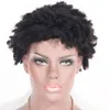 Malaysiska kinky Curly Short Human Hair Wigs 150% Densitet Tight Curl Machine Made Remy för kvinnor