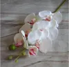 2021 Bella 78 centimetri di Lunghezza Seta Artificiale Phalaenopsis Farfalla Orchidea Foglia Vaso Disposizione Dei Fiori Per La Decorazione di Compleanno di Nozze