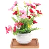 Planters Potten Bamboe Ronde Square Bowls Platen voor Succulents Trays Basis Stander Tuin Decor Woondecoratie Ambachten