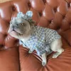 Роскошная собака джинсовая рубашка с шляпой набор 4 сезона милый домашнее животное кошка собака пальто маленькая средняя собака Teddy pug pomeranian corgi