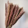 Декоративные цветы венки деформированные 15 шт. Розовый белый маленький тростник сушеные мульхронистые фрагмиты пампас трава свадьба домашнее декор