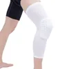 Pallacanestro traspirante Tiro Sport Sicurezza Ginocchiera Pad a nido d'ape Paraurti Brace Ginocchiera Protettiva Ginocchiere rodilleras