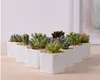 Keramik Bonsai Töpfe Großhandel Mini Weiße Porzellan-Blumentöpfe Lieferanten für Saating Sukkulente Indoor Home Kindergarten Pflanzgefäße