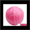 Palline 25 cm Palla per ginnastica Pilates Esercizio Palestra Fitness Yoga Core Allenamento indoor Rrxde Voj0A