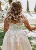 Land Garden Champagne Een lijn Bruidsjurken Lace Up Back V-hals Applicaties Trouwjurken Plus Size Vestido de Novia