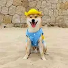 Camisa de cachorro com chapéu amarelo, roupas de cachorro com roupas de gato macio e respirável para cães pequenos a médios corgi shiba 210401