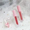 5ml Lip Gloss Plastic Box Containers Empty Frosted Lipgloss Tube Balm Bottles Container Packaging With Brush