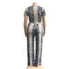 INS FASHION SEXY SNAKE Skin Print Two Piece Set Top and Pants Tracksuit Kvinnor Kläder Bodycon Outfits Matching Sets Plus Size 210520