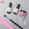 Dompelen Powder Set French White Nail Manicure Starter Kits zonder lampsysteem voor nagels Art Glitter Poolse holografische gradiënt