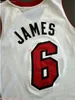 personalizzato cucito # 6 Lebron James Jersey XS-6XL Throwbacks pullover di pallacanestro economici uomini donne giovani