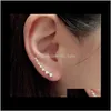 Biżuteria wspinacz Cler Kolczyki Sterling Sier / Gold Crystal Sparkle Rhinestone Ear Stud Pins Drop Dostawa 2021 XPIUC