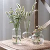Vases en verre transparent pour plante bouteille pot de fleur nordique créatif hydroponique terrarium arrangement conteneur fleur table vase 210623