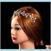 Ударные ювелирные украшения зажимы Barrettes