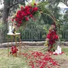 Double circle wedding arch metal round Outdoor wedding backdrop arch stand double ring Christmas decorations for home