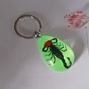 Lysande Scorpion Keychain - Ny Lysande Produkt Real Crab och Scorpion Key Chain Bag Car Key Ring # 17067 G1019