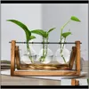 Vaser dekor trädgård droppleverans 2021 träram Hydroponic Plant Vase Coffee Shop Office Desktop Decoration Bonsai Transparent Flower Po