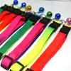 1cm Width Colorful Nylon Dog Collar Leashes For Small Dogs Cat Puppy Necklace with Bell Pet Supplies