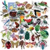 50 adet Paketi Toptan Bagaj Kaykay Için Toptan Sevimli Böcek Çıkartmaları Dizüstü Kask Su Şişesi Araba Çıkartmaları Çocuk Hediyeler