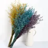 30G Lover Grass Natural Fresh Gedroogd Gecontroleerde Dansende Bloemen, Echte Forever Bloemtak voor Home Decor Bouquet Decoratieve bloemenkransen