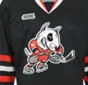 24s 2019 # Niagara Icedogs University College Hockey Jersey broderie cousée personnaliser n'importe quel numéro et nom de maillots