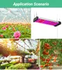 30 cm 50 cm 100 cm LED Grow Light Paski AC100V-270V Pull Switch Design Pełna spektrum Lampa Fito do Kwiatów Kwiaty Hydroponic Rośliny