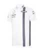 F1 T-shirt racing kostym Team Fan Polo Shirt Men's Formula One Team Jacketuniformer av samma stil anpassade samma stil