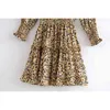 Mini abiti in pizzo elasticizzato a maniche lunghe con stampa leopardata primaverile vintage carino moda donna 210508