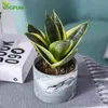 Seramik saksı çok renkli mermer desen etli kaktüs bitkisi flowerpot ev küçük bonsai bahçecilik Noel dekorasyonu 210409