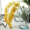 7colors gummi beläggning 72cm konstgjorda blommor simulering prinsessan fjäril orkidé phalaenopsis för bröllop blomma