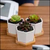 Levert Patio, Lawn Gardenceramische Bonsai Potten Mini White Porselein Flowerpots Suem Garden Indoor Home Nursery Planters Sea HWB7103 Drop