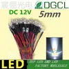 Ampoules LED haute luminosité 100x 5mm précâblées blanches 20cm 12V/24V pré-câblées indicateur DIP LED