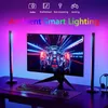 플로어 램프 2pc LED 대기 테이블 테이블 하이트 라이트 스트립 카펫 실내 홈 침대 옆 거실 장식 화려한 RGB 앱 USB 음악 램프