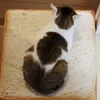 Pane Gatti Letto Toast Bread Slice Style Pet Mats Cuscino Morbido Caldo Materasso Letto per Cani Gatti GQ 210722