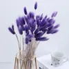 50pcslot Flores secas Rabbit Bunny Tail Grass Pampas de plantas naturais Bouquet Lagurus ovatus Wedding Christmas Decoration246J7459943