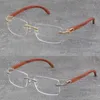 optische brillenzen
