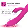 NXY Vibromasseur Gode Vibromasseur Sex Toy pour Femme 10 Mode Vagin Clitoris Masseur Masturbateur Femme Double Vibration Climax Sex Adult Toys 0104