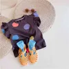 Lato przyjazd dziewczyny moda kropka t shirt dzieci koreański design topy dzieci ubrania 210528