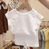 Né Vêtements de coton d'été Set Solid Girls Tee Boys Sleeve T-shirt T-shirt + PP Shorts 2PCS Bébé Baby Girl Vêtements Ensembles 210417