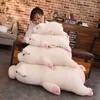 Lovely Soft Down Cotton Pig Plush Doll Fylld Rosa Baby Software Pillow Gift for Girlfriend 210728