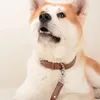 Leathes luxuos colares de couro de couro personalizado pet colarinho coleira de trela para pequenos médios grandes cães pitbull bulldog