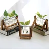 terrarium birne vasen