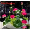 Autres fournitures Patio Lawn Drop Livraison 2021 5pcsbag Bowl Lotus Lily Rare Graines de fleurs aquatiques Bonsa￯ de plante vivace pour le jardin